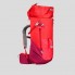 Туристический Рюкзак QUECHUA 20л 500MH 60 x 30 x 20 см с Чехлом от Дождя Красный Совместимые с Питьевой Системой