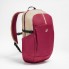 Туристический Рюкзак QUECHUA 20л 46 x 20 x 14 см Бордовый 