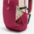 Туристический Рюкзак QUECHUA 20л 46 x 20 x 14 см Бордовый 