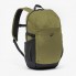 Туристический Рюкзак QUECHUA Arpenaz 100 27л 50 × 27,5 × 2,5 см Зеленый