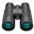 Бинокль Simmons Pro Hunter 10x42 Черный SPH1042